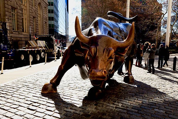 Bull