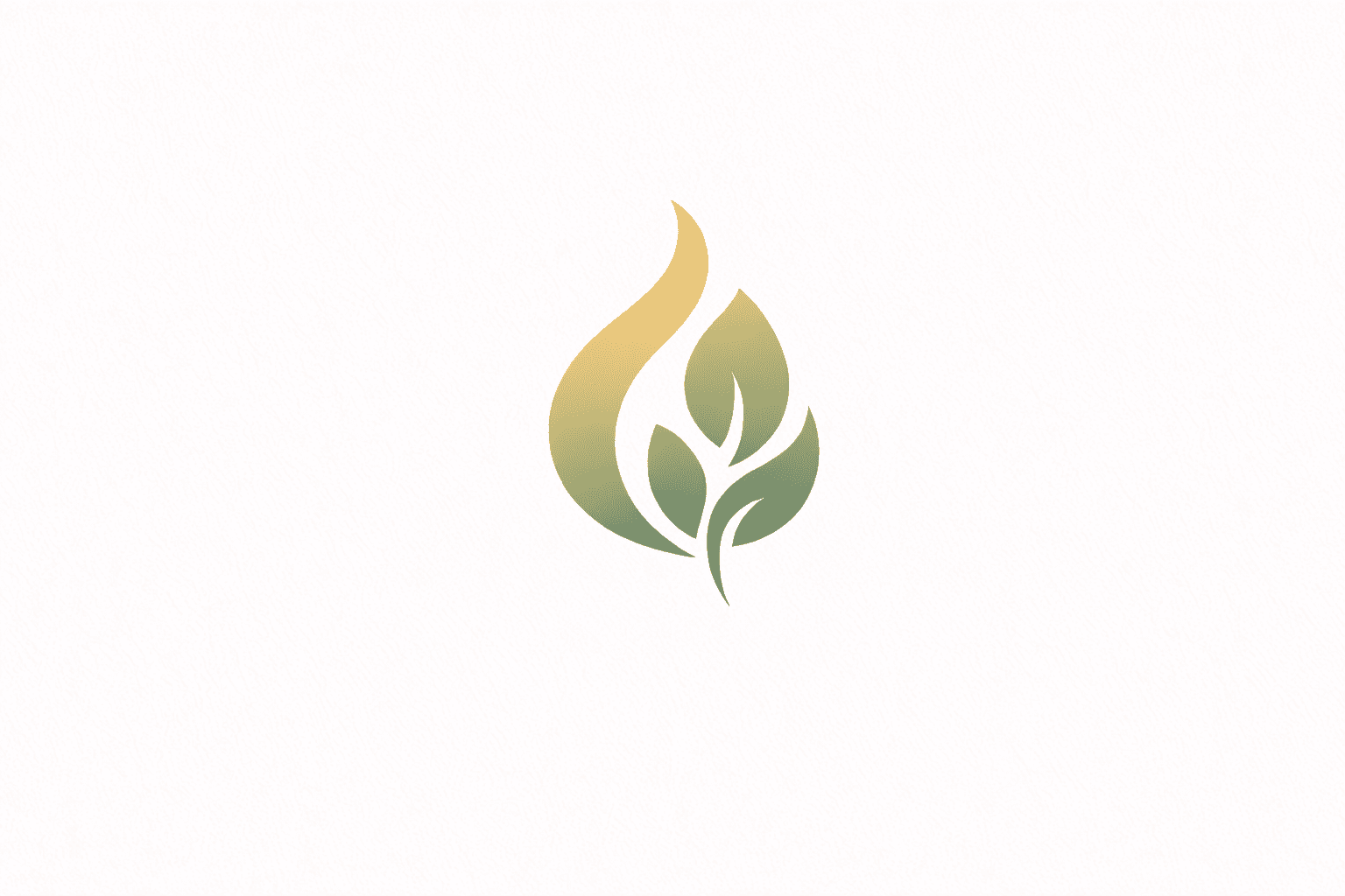 Meliora Studio